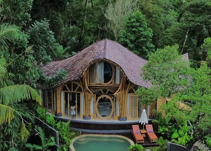 Orman Evi Punduk - The Manta *